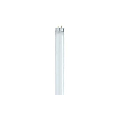 Satco 32W 48 in. T8 Fluorescent Light Bulb 4100 Kelvin with Medium Bi-Pin Base